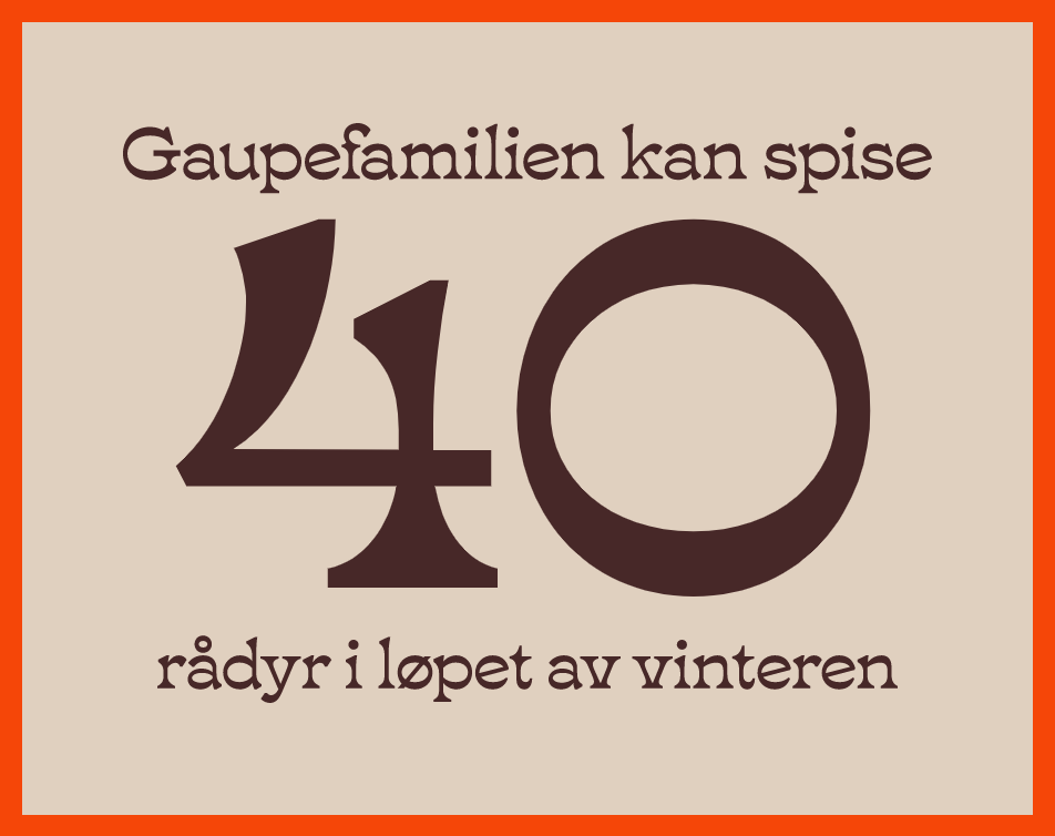 Plakat med teksten Gaupefamilien kan spise 40 rådyr i løpet av vinteren.