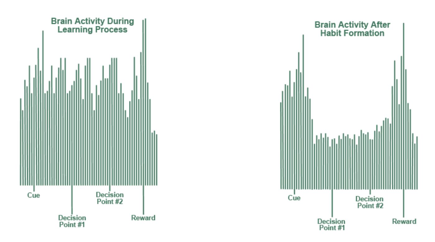En illustrasjon som viser hjerneaktivitet under læring og når vaner dannes